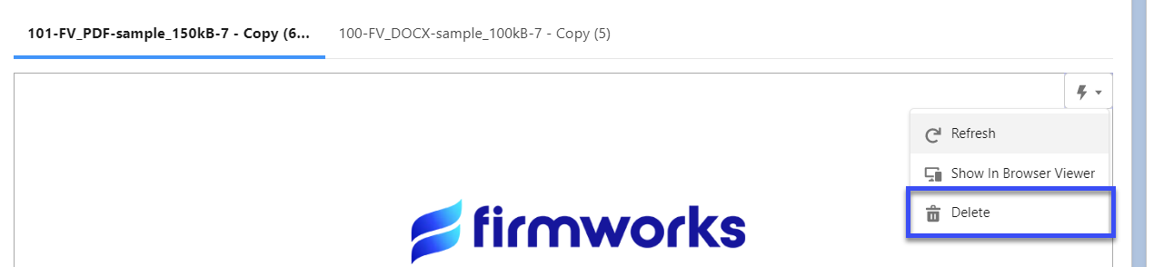 FirmWorks Files Configure Record Content Viewer Delete