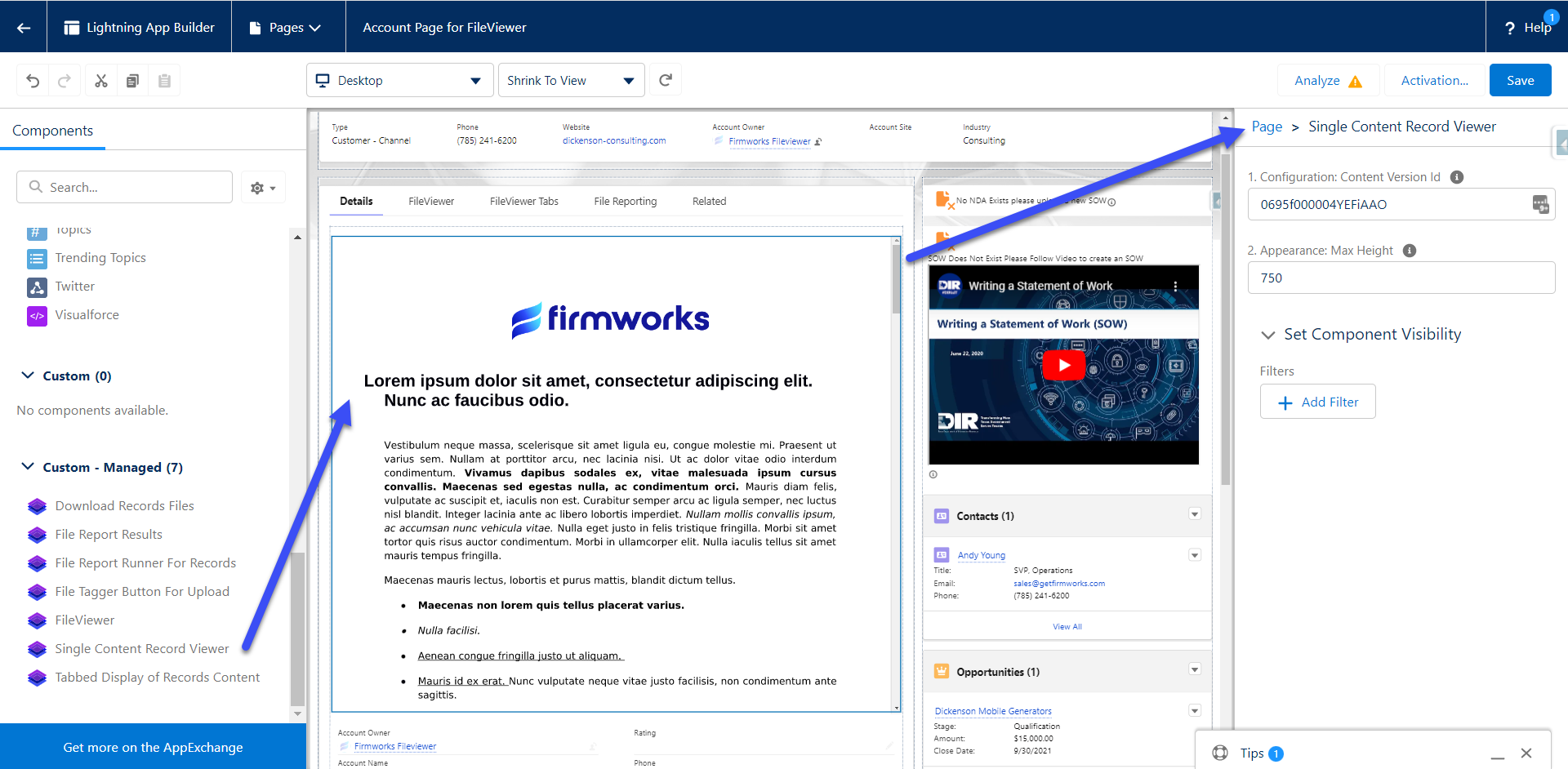 FirmWorks Files Configure Content Viewer