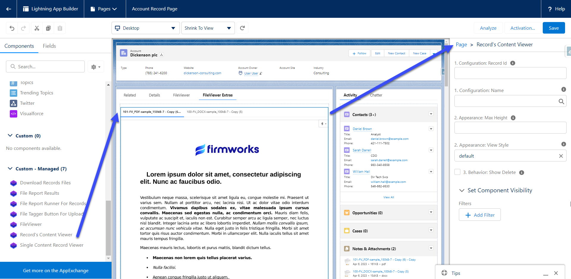 FirmWorks Files Configure Record Content Viewer