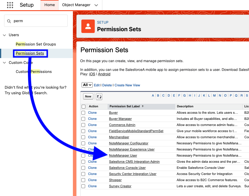 Quick Start Permission Set Assignment